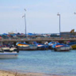 Meet your Posher, Monica